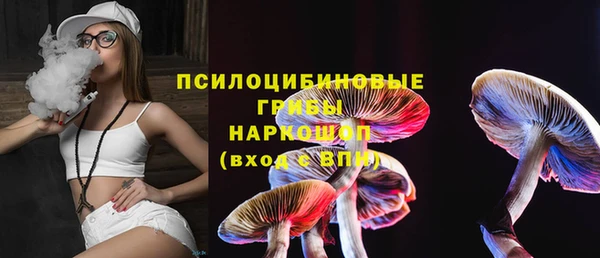 винт Алексин