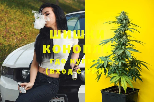 метадон Пестово