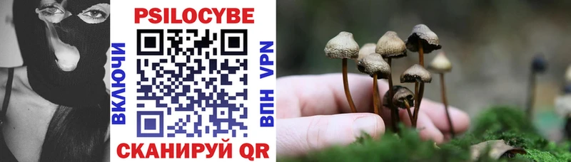 продажа наркотиков  Ветлуга  Галлюциногенные грибы прущие грибы 